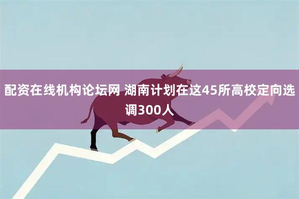 配资在线机构论坛网 湖南计划在这45所高校定向选调300人